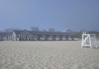 Foggy Morning